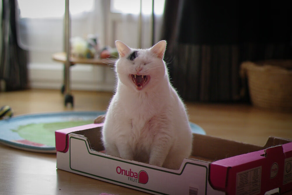 绝地反击，德国队逆转法国队，马琳高光时刻铸就传奇