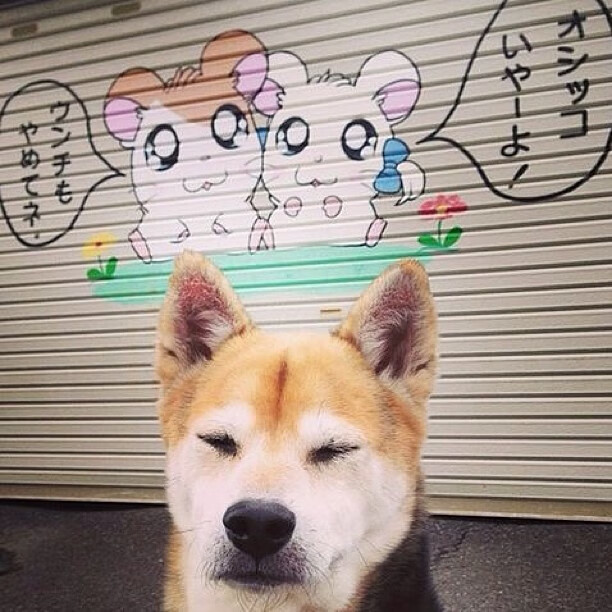 无声指挥官，哈利伯顿的防守方程式如何重构总决赛之夜