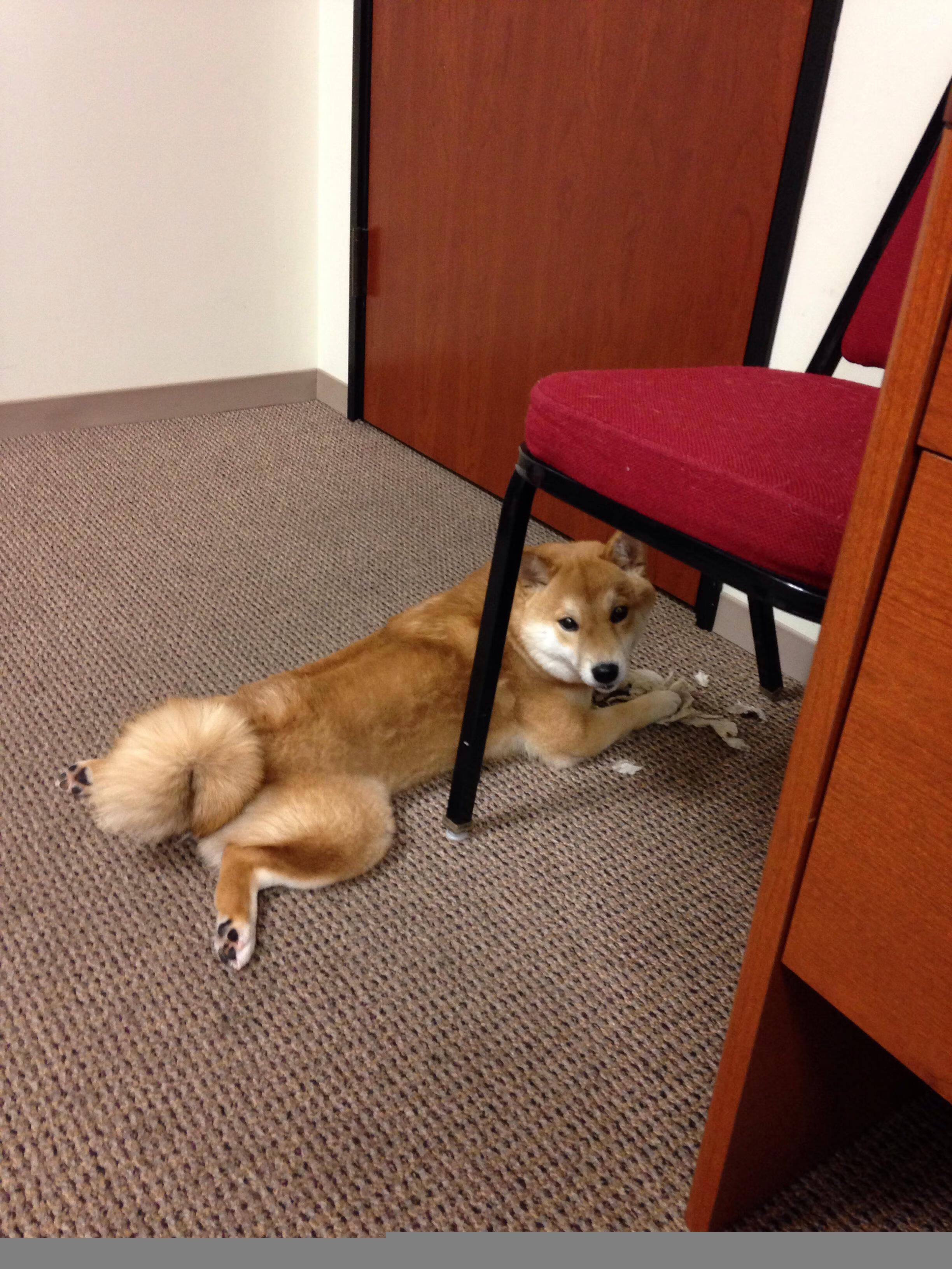 当绿茵场遇上篮球火，今夜谁将被雷霆踏平？