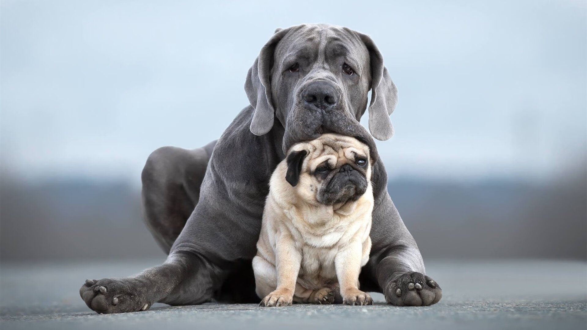 教科书不只一本,从京多安到巴拉圭,足球智慧的多元呈现