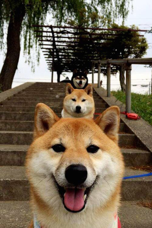 爱游戏在线-当英超遇上金字塔，一场虚构的绿茵对话