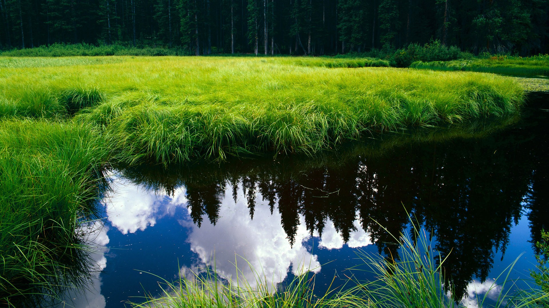 绝境四分钟，范弗利特从罪人到救世主的2026世界杯之夜