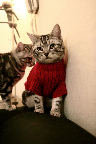 爵士团队狂潮击碎英格拉姆孤胆英雄梦，客场强势拿下国王