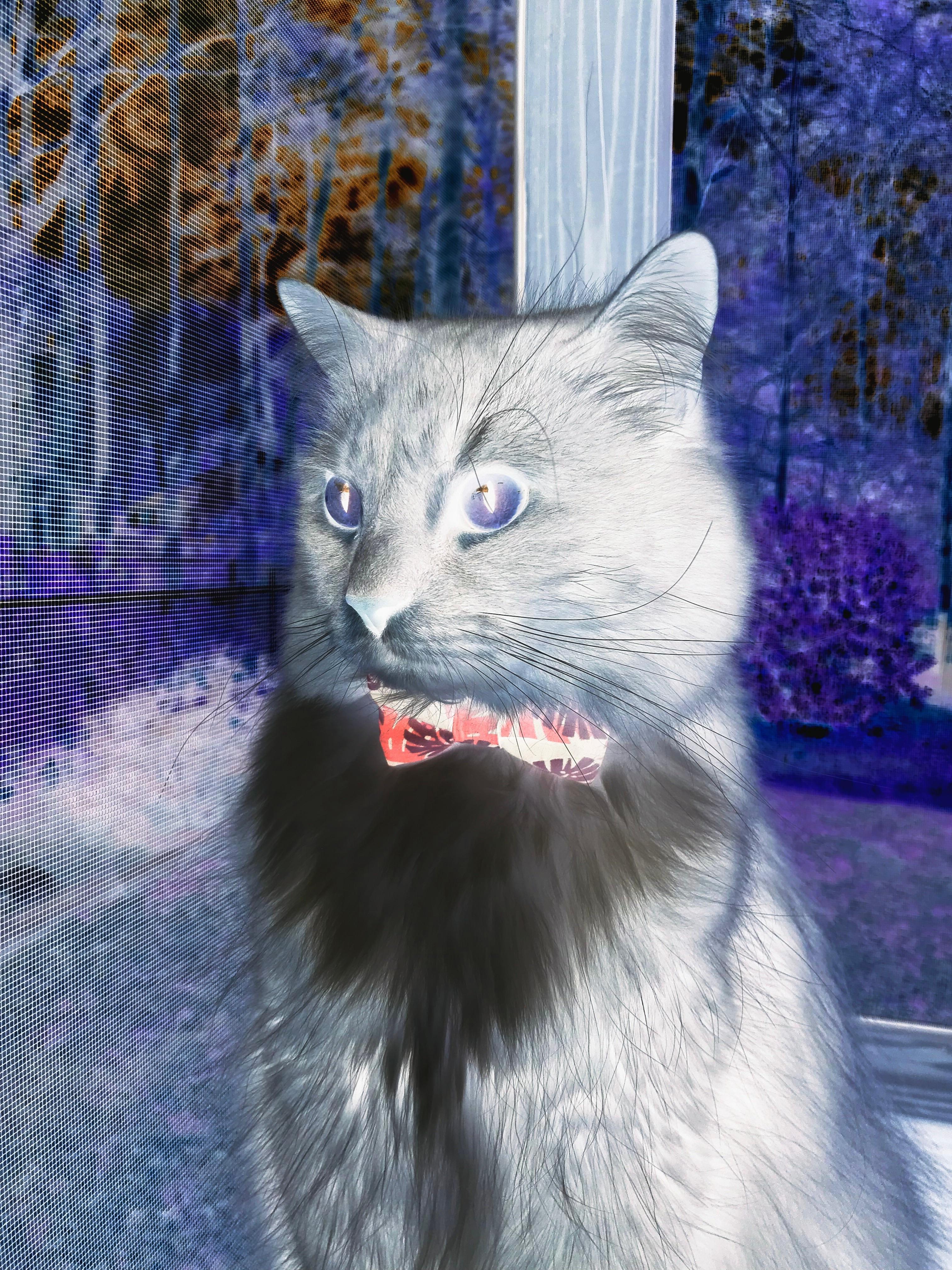 关键节点之王，保罗用连续得分诠释何为人类控球精华