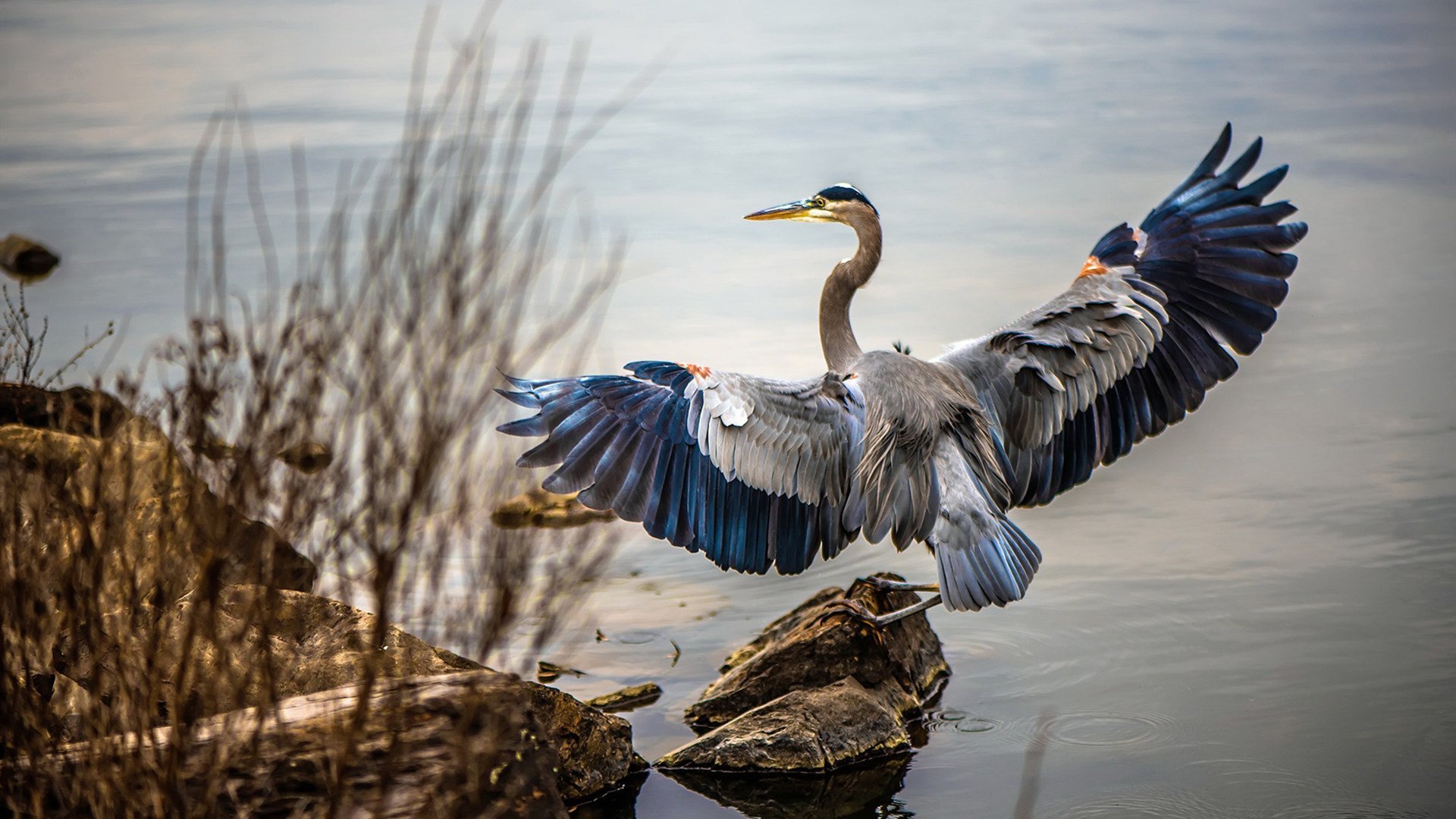 跨界巅峰战,山西队力克76人夺魁,库里数据全面爆炸引领胜利