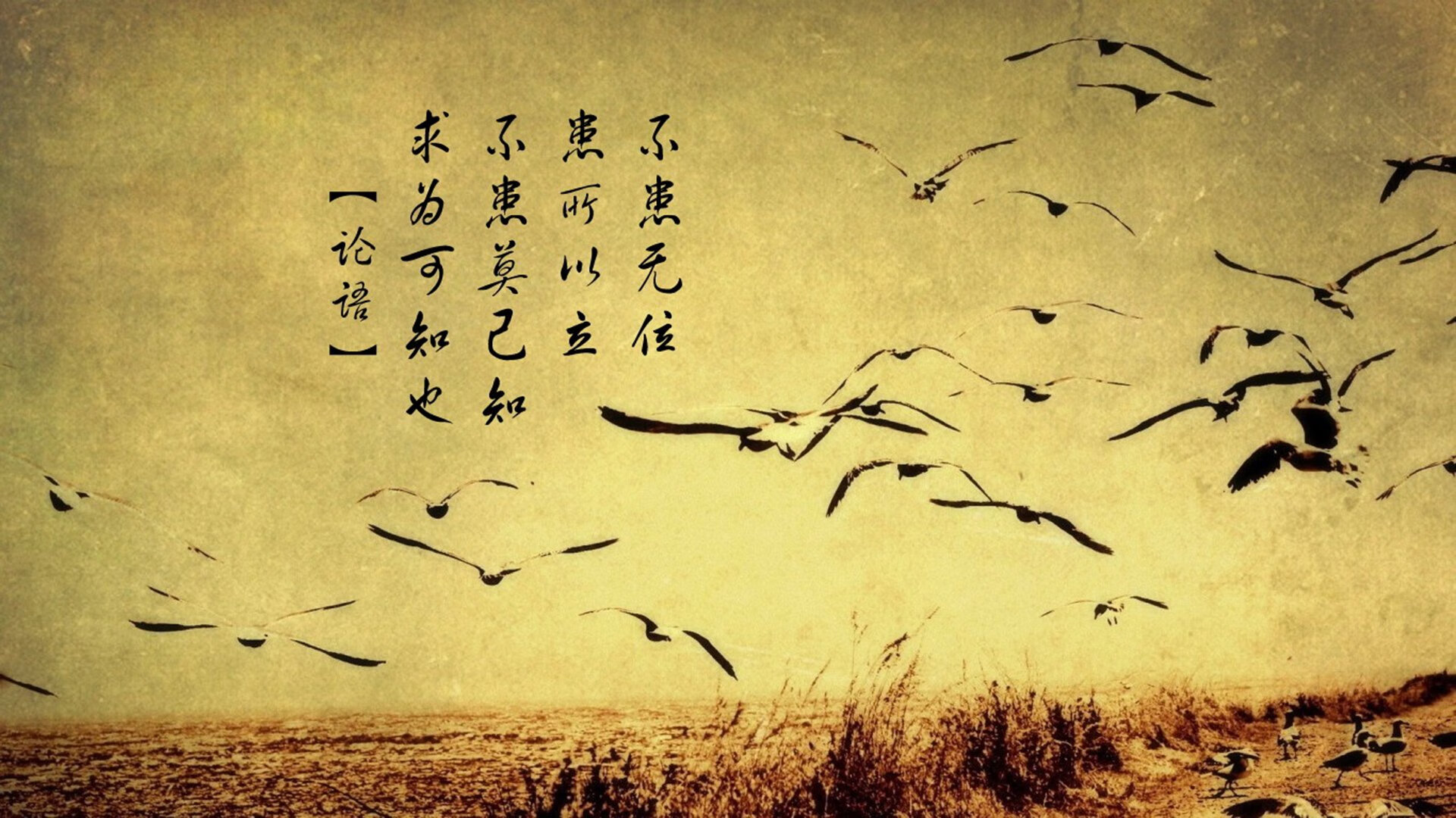 独步绝杀夜,2026世界杯出线战,哥伦比亚九死一生险胜韩国,C罗临场神调度写就传奇唯一篇章