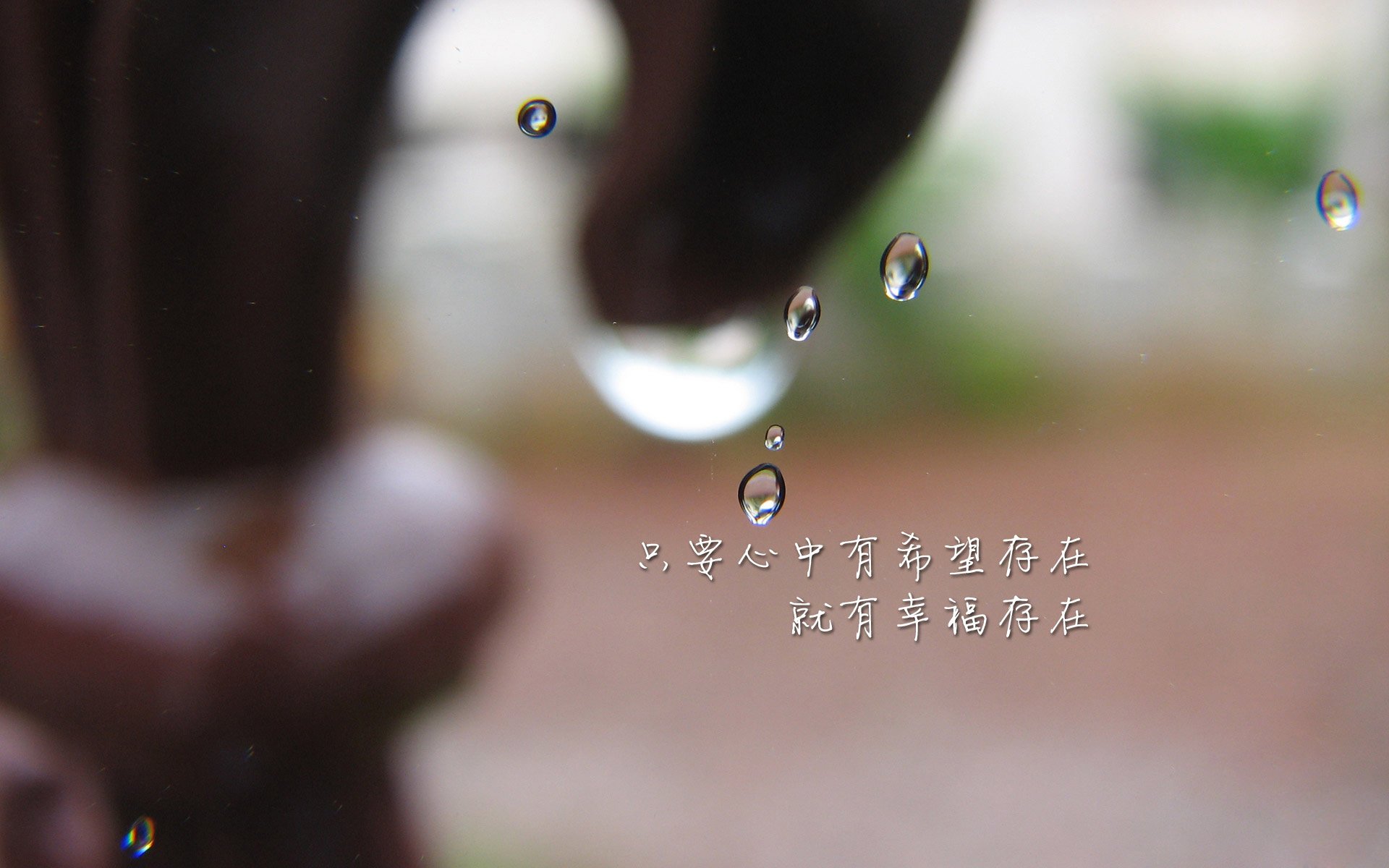 铁壁与灵刃，2026世界杯C组，喀麦隆的钢铁防线与维尼修斯的致命一击