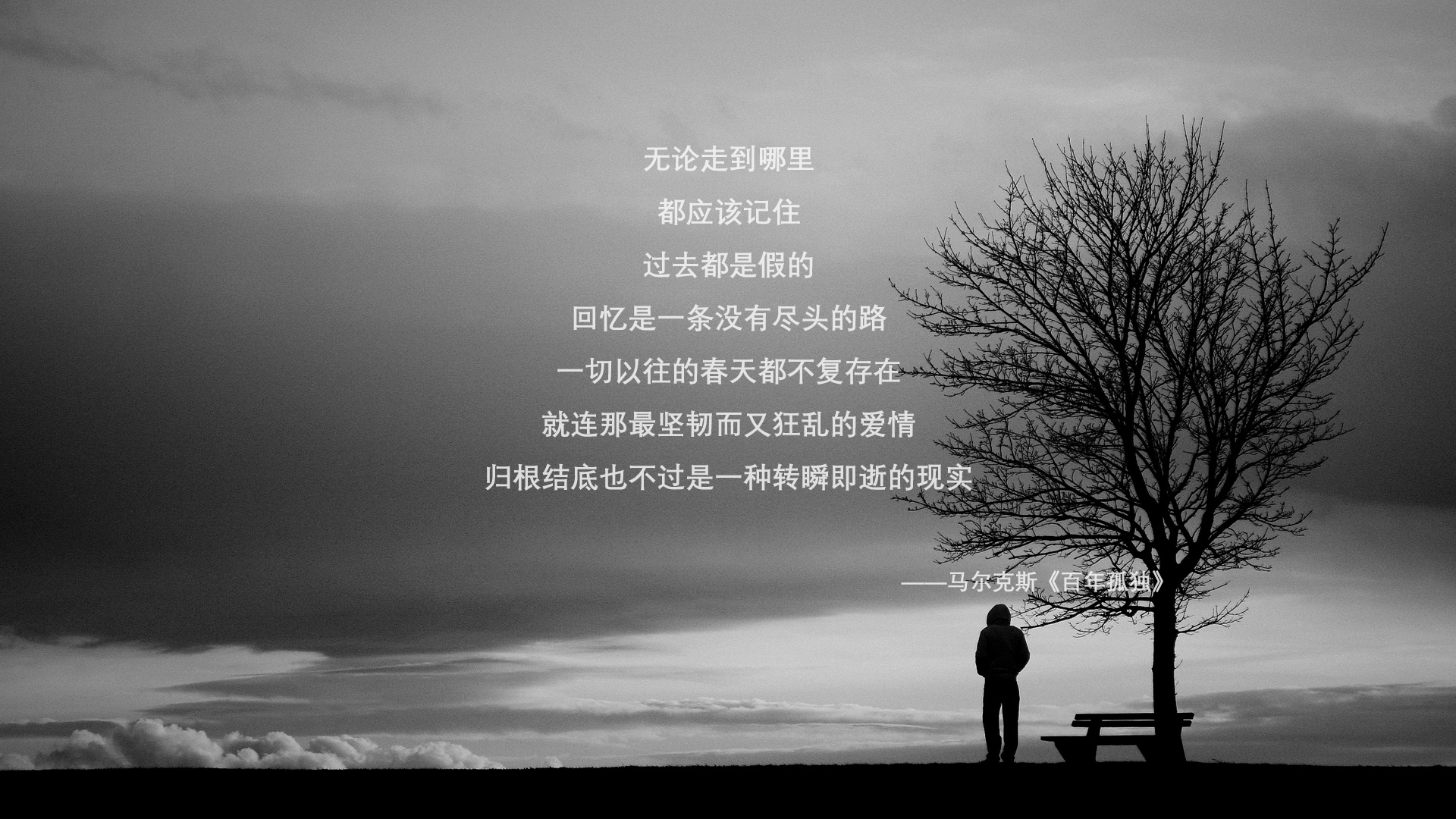 沙漠风暴掩盖桑巴舞，2026世界杯H组，伊朗如何用钢铁防线与梅西的指尖魔法，让五星巴西陷入窒息