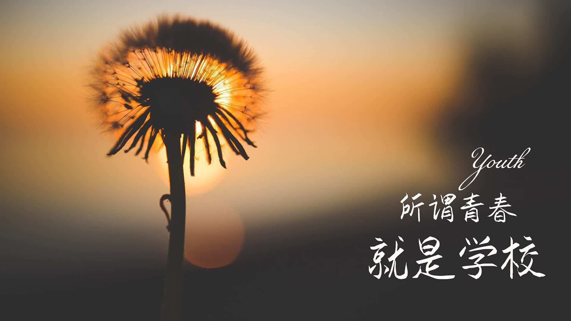 宿命的回响,2026世界杯A组,罗马尼亚逆转哥伦比亚,内马尔完成致命一击