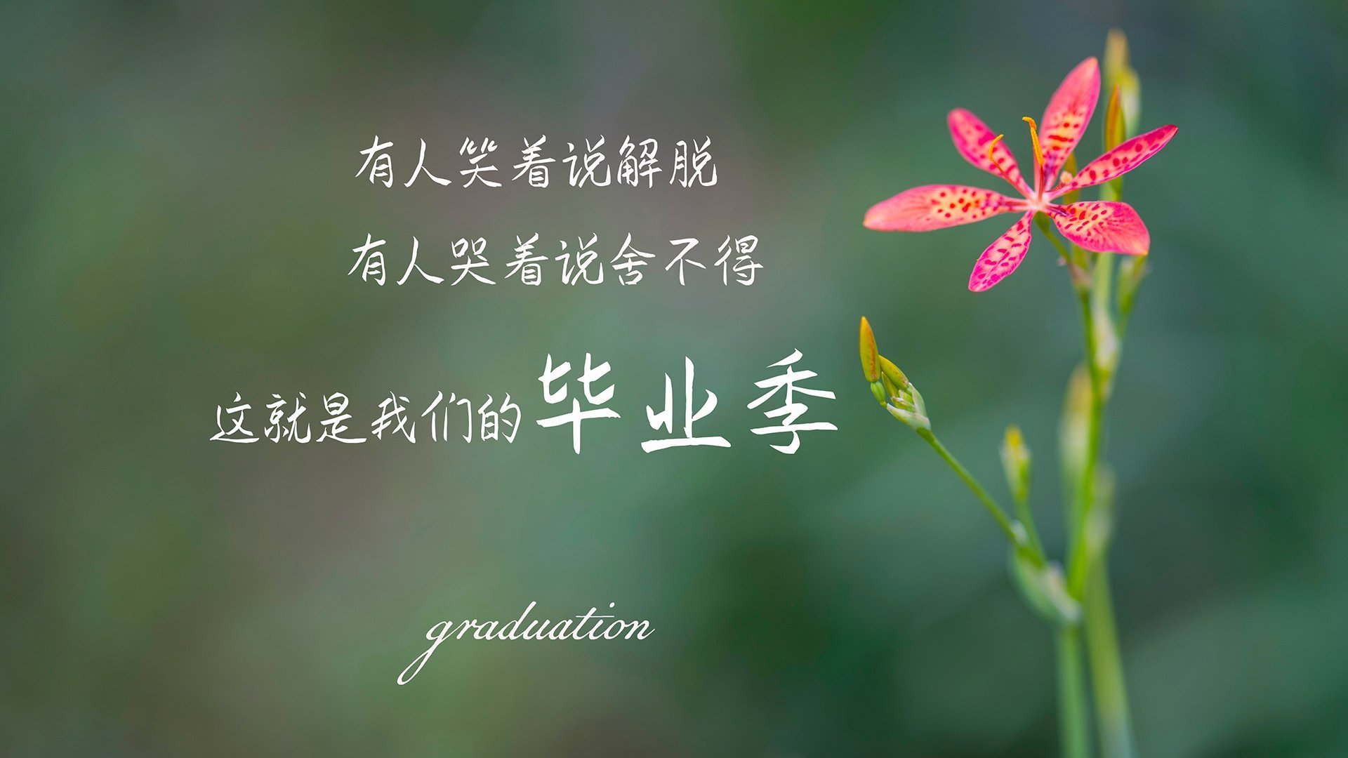 北欧神话再临，哈兰德以神之轨迹主宰G组生死战，挪威4-0横扫英格兰改写世界杯格局